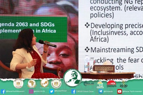 The young participants of the “Nasser International Leadership” Fellowship met with SDGs Agenda 2063 expert , Mrs Sarah Hamouda,  to discuss the role of African peer review mechanism (APRM) in promoting South-South cooperation