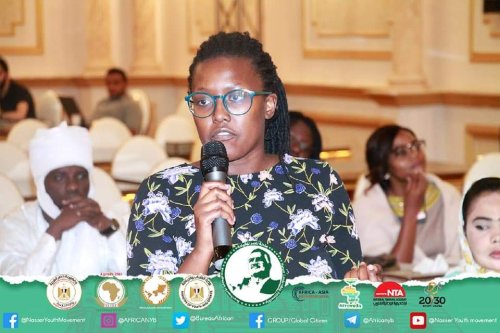 The young participants of the “Nasser International Leadership” Fellowship met with SDGs Agenda 2063 expert , Mrs Sarah Hamouda,  to discuss the role of African peer review mechanism (APRM) in promoting South-South cooperation