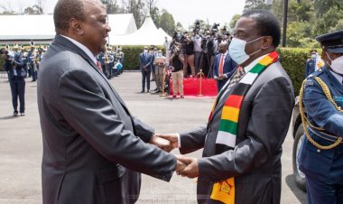 تعاون ثنائي بين كينيا و زيمبابوي فى سبع مجالات