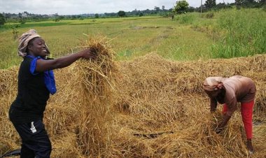 التعاون فيما بين الجنوب جنوب