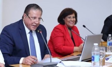 جانب من كلمة الدكتورة اماني الطويل عضو لجنة الثقافات الأفريقية بالمجلس الأعلى  للثقافة أثناء زيارة الشباب المشاركون فى منحة " ناصر للقيادة الأفريقية "  للمجلس