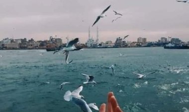 “Port Fuad".. A French city on an Egyptian land