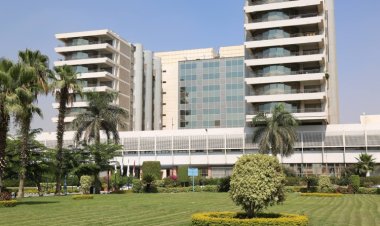 Nasser Institute for Research and Treatment