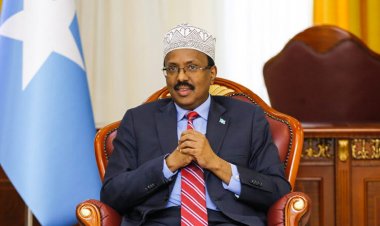 Mohamed Abdillahi Farmajo..Former Prime Minister and 9th President of Somalia