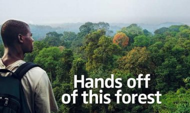 ممارسات الشركات متعددة الجنسيات في تهجير سكان الكاميرون (١)