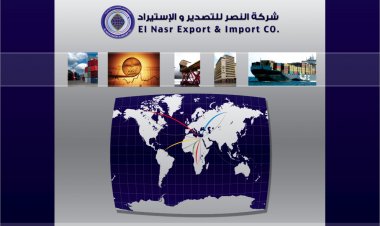 شركة النصر للتصدير والاستيراد... ذراع مصر الطولى في القارة الإفريقية