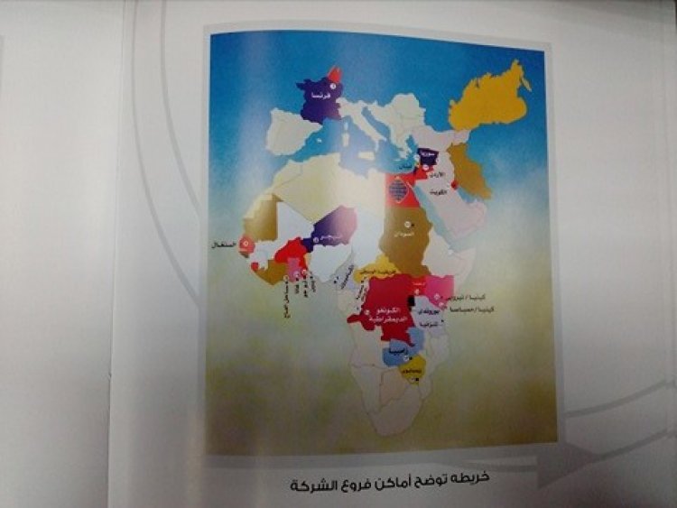 شركة النصر للتصدير والاستيراد... ذراع مصر الطولى في القارة الإفريقية