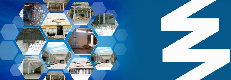 شركة النصر للتصدير والاستيراد... ذراع مصر الطولى في القارة الإفريقية