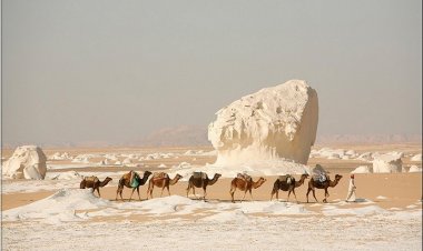 الوادي الجديد المحافظة التى لا تغيب شمسها