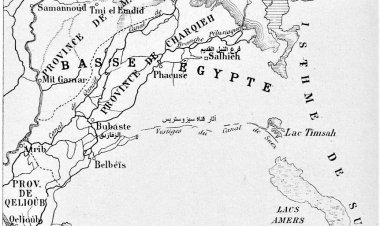 الدكتور على الحفناوي يكتب: طريق الحجاز