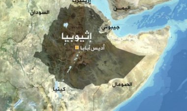 المفكر الكبير حلمي شعراوي يكتب: القرن الإفريقى والبحر الأحمر...إلى أين؟