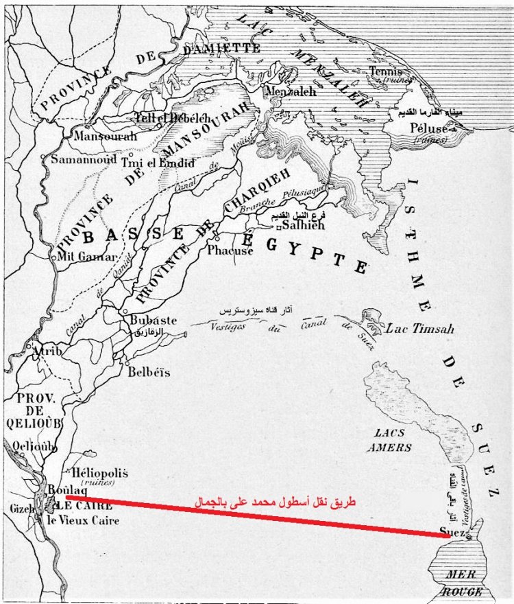 الدكتور على الحفناوي يكتب: طريق الحجاز