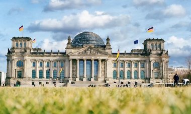 IPS programme for the Arab countries| Apply Now