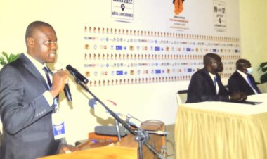 Mouvement des Jeunes Nasser au Tchad en tant que Responsable des Ressources Humaines au Conseil Economique et Social de l'Union Africaine