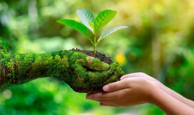 الأمناء التنفيذيون للجان الأمم المتحدة الاقتصادية يصدرون بيانا مشتركا لتكريس حماية التنوع البيولوجي في جميع الأنشطة الإنسانية