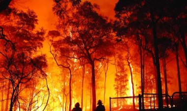 الحرائق وأزمات التغير المناخي