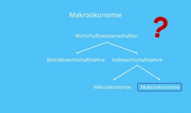 الدكتور سعيد البطوطي يكتب: إدارة الأعمال والاقتصاد الوطني