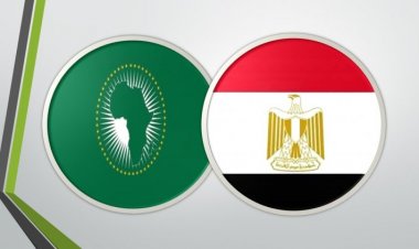 L'Égypte et le Foyer africain pendant 55 ans entre la continuité et le changement (2)