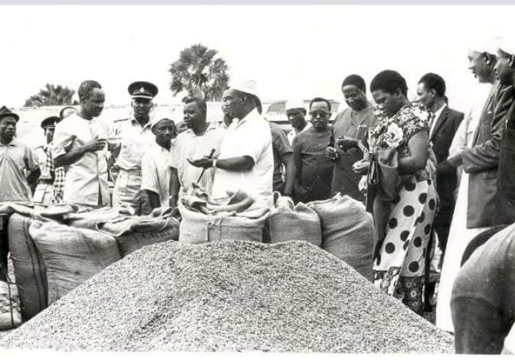 تعاونيات "اوجاما" الاشتراكية فى تنزانيا