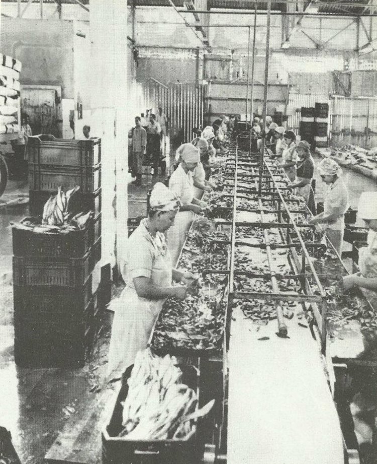 La empresa Nasr para la industria y el envasado de pescado
