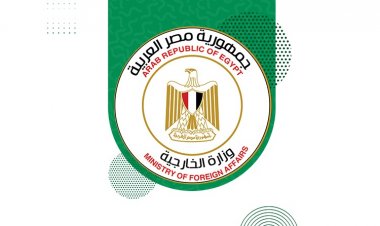The Egyptian Ministry of Foreign Affairs is a sponsor and supportive partner of the Nasser Fellowship for International Leadership