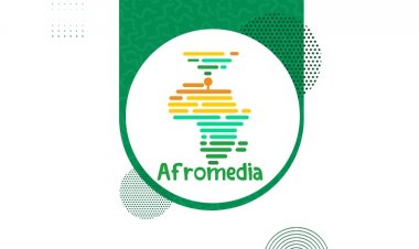 Afromedia initiative is a media partner of Nasser fellowship for international Leadership  in it’s second edition