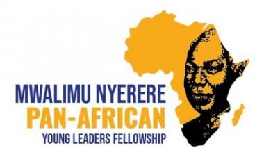 Mwalimu Nyerere Pan-African Young Leaders Fellowship