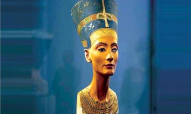 الدكتور على الحفناوي يكتب: موقف مصر من نفرتيتى