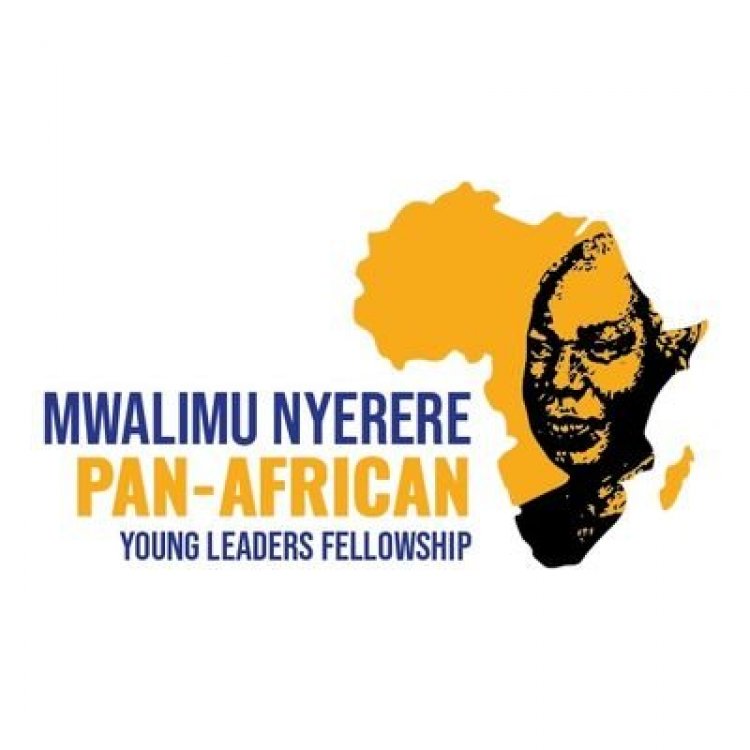 Mwalimu Nyerere Pan-African Young Leaders Fellowship 