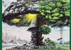La journée internationale de la prévention de l’exploitation de l’environnement dans les guerres et les conflit armés