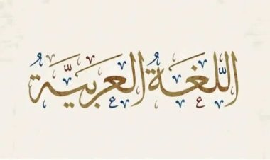 المشكلات التي تواجه تعليم اللغة العربية في الأقطار الإفريقية
