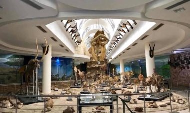 Le Zoo de Gizeh est le  2ème zoo au niveau mondial