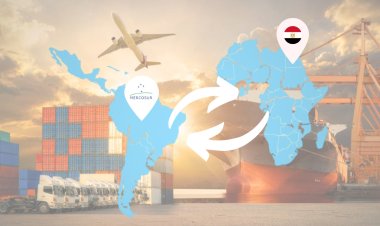 مصر والسوق المشتركة الجنوبية (ميركوسور)