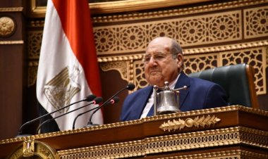 Consejero Abdelwahab Abdelrazek.. Presidente del Senado egipcio