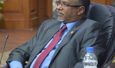 Ambassador Nadir  Fath El-Aleem