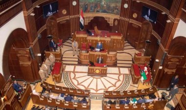 Jóvenes de Nasser Fellowship para Leadership Internacional visitan la Cámara de Representantes y el Senado