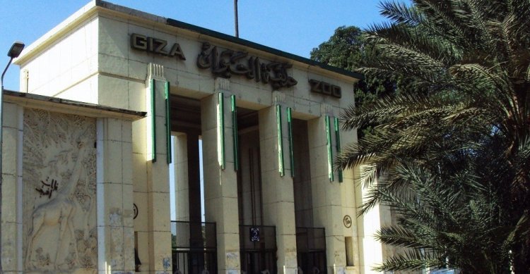 Le Zoo de Gizeh est le 2ème zoo du monde