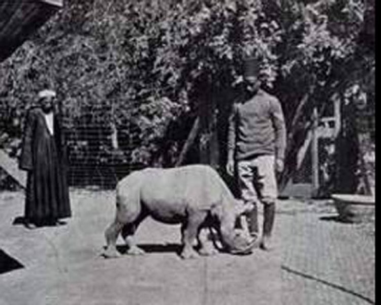 Le Zoo de Gizeh est le 2ème zoo du monde