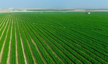 Al Behera es la tierra de buenas obras