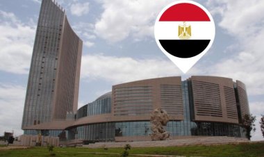 Egipto y la casa africana durante 55 años entre la continuidad y el cambio (2)