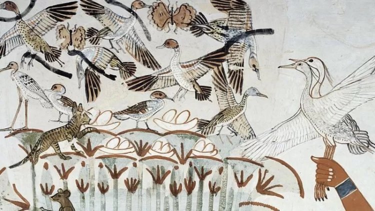 "Sham Ennessim"... Hadithi ya Sikukuu ya Zamani Zaidi Maarufu yaadhimishwa na Wamisri