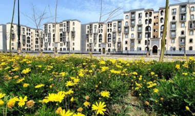 Nouveau Mansoura, villes de quatrième génération