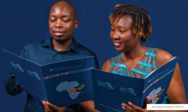 Economic Commission for Africa (ECA) establishes a fellowship programme: Apply Now