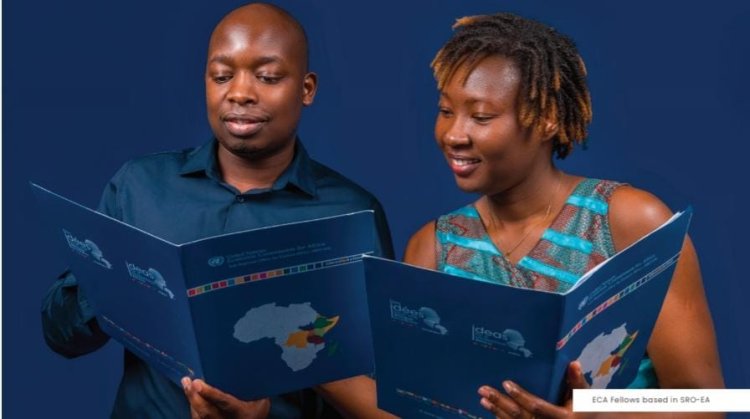 Economic Commission for Africa (ECA) establishes a fellowship programme: Apply Now 