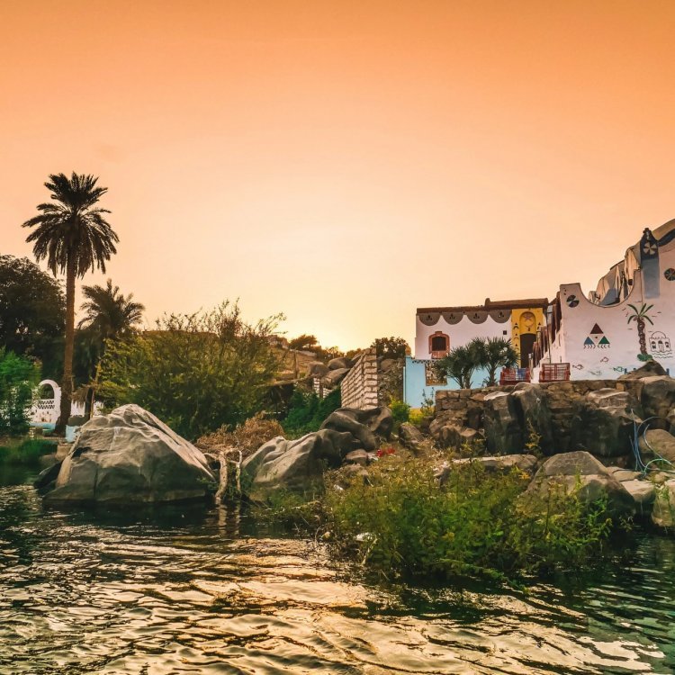 Siku ya Kimataifa ya Wanubi