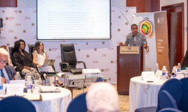 Ghazaly representa a la juventud del continente en el taller continental del Mecanismo Africano de Revisión