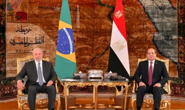 آفاق وتحديات العلاقات المصرية البرازيلية