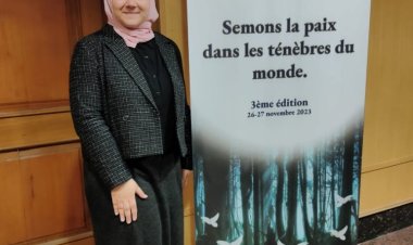 Mwanachama wa Harakati ya Nasser kama balozi katika mfano wa vikao vya Umoja wa Mataifa