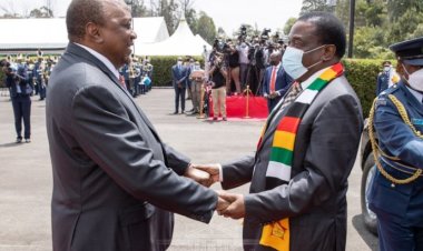 Ushirikiano wa pande mbili kati ya Kenya na Zimbabwe katika maeneo saba