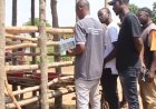 Hadithi ya Mafanikio Inayowahamasisha Wafugaji wa Tanzania Kuelekea Uchumi Imara Zaidi